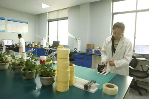 永冠科技 小巨人 蘊含大能量